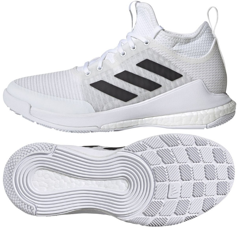 Adidas CrazyFlight Mid W FX1792 -lentopallokengät monivärinen ruskea