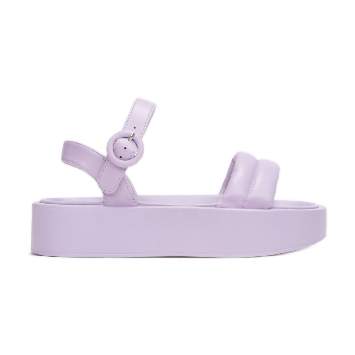 Vices 2257-66-violetti