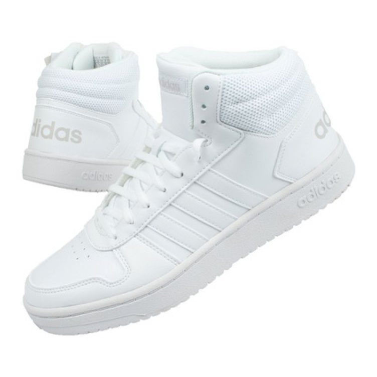Kengät adidas Hoops 2,0 W B42099 valkoinen