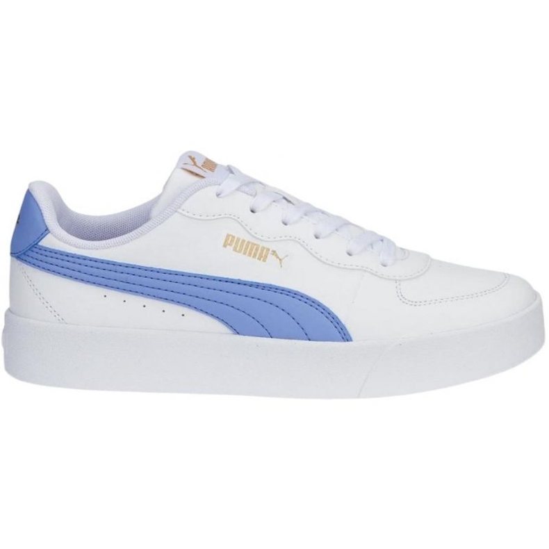 Puma Skye Clean kengät 380147 13 valkoinen