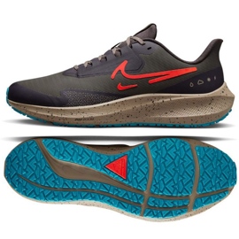 Nike Air Zoom Pegasus M DO7625 200 juoksukenkä monivärinen harmaa