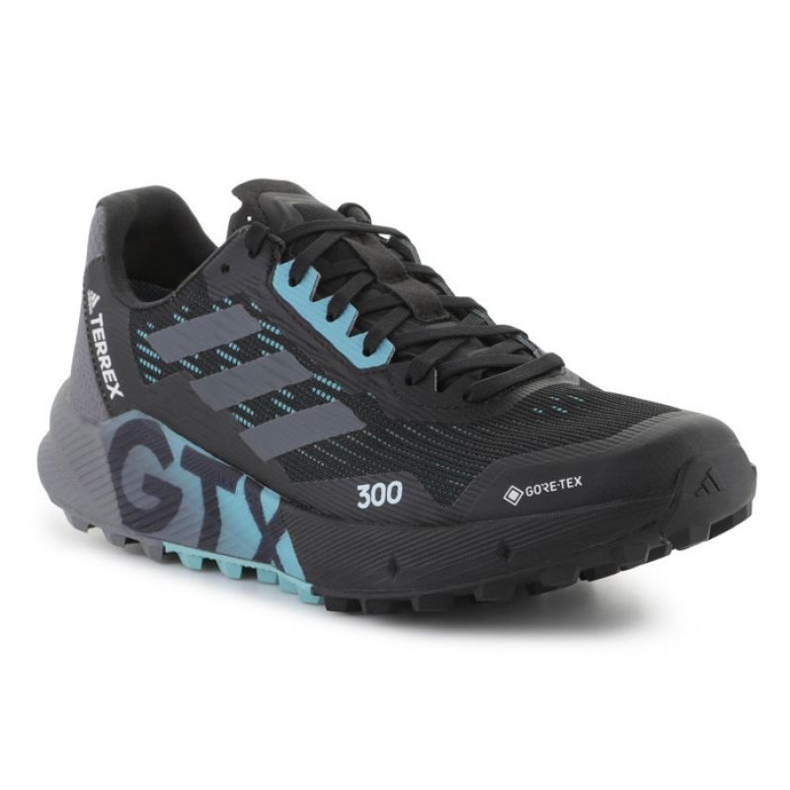 Kengät adidas Terrex Agravic Flow 2 Gtx M H03382 musta