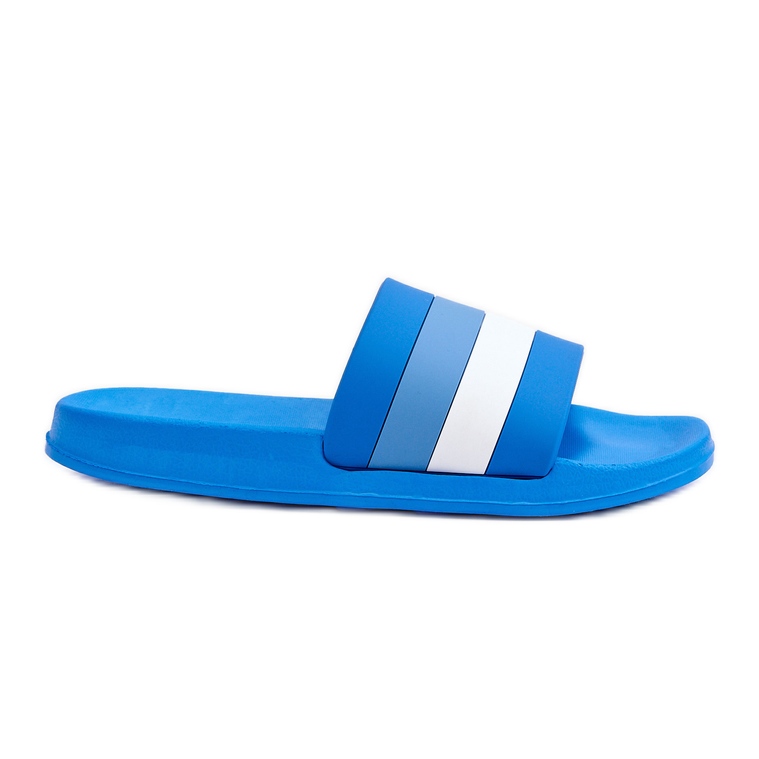 Naisten Blue Vision -raidalliset tossut sininen