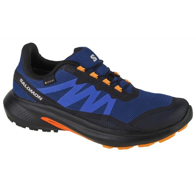Kengät Salomon Hypulse Gtx M 415961 sininen