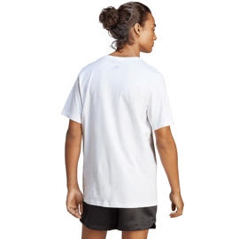 Lee Cooper miesten varvastossut, musta ja punainen, LCW-23-42-1730M