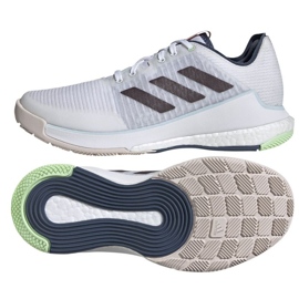Adidas Crazyflight W IG3968 lentopallokengät valkoinen