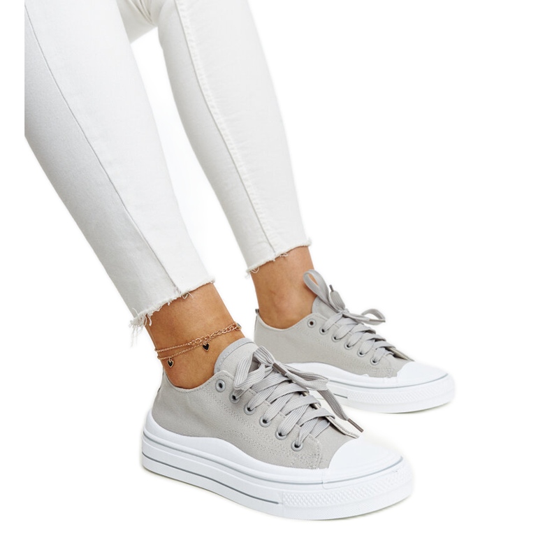 Harmaa Anbarinin alustalenkkarit