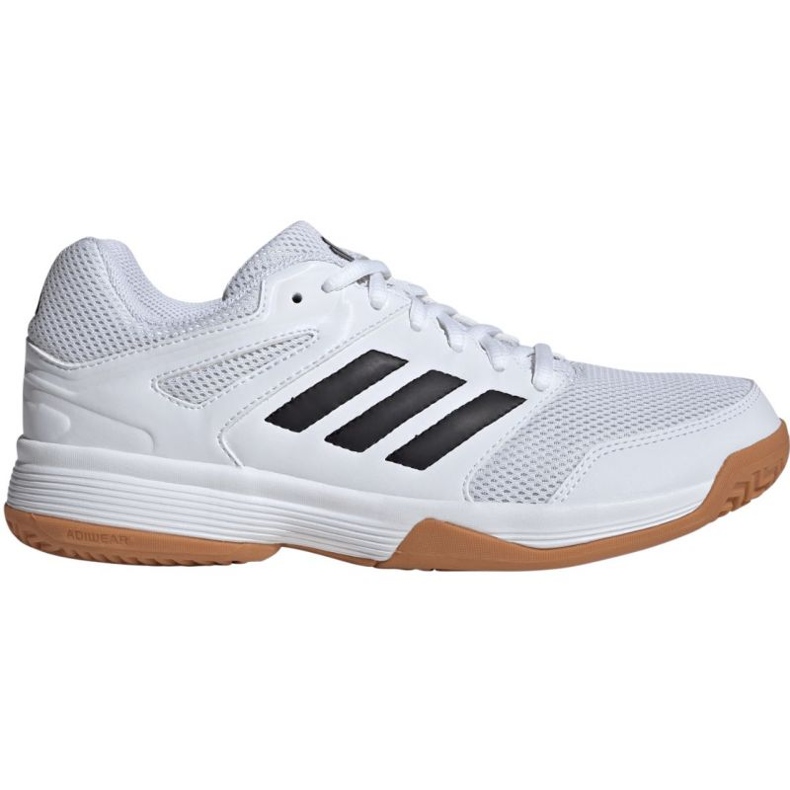 Adidas Speedcourt IH3159 lentopallokengissä valkoinen