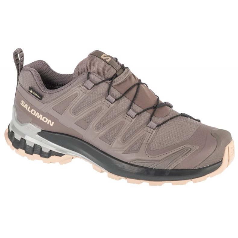 Salomon XA Pro 3D V9 GTX L47744500 Harmaa