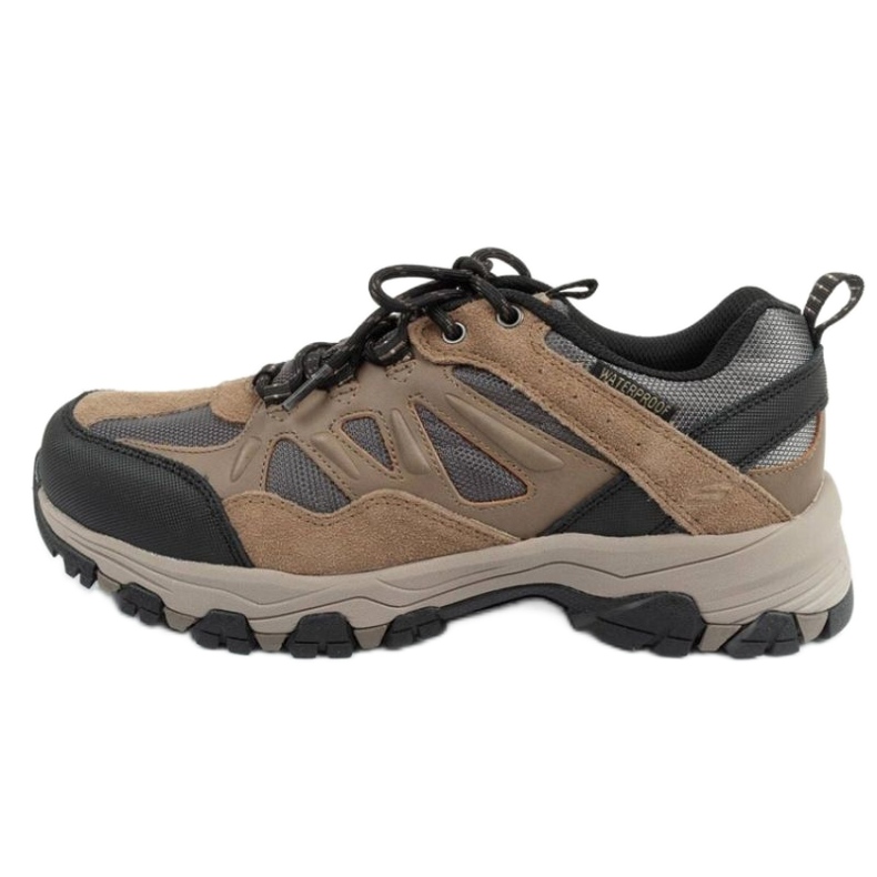 Skechers Enago 66275/TAN kengät beige