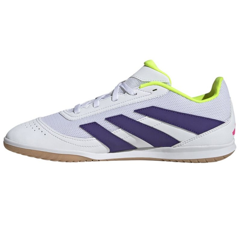 Adidas Predator Club Sala ID3790 -jalkapallokengissä valkoinen