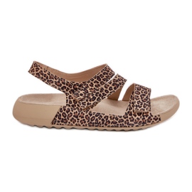 Naisten nahka sandaalit Zazoo K1004 Leopard Print ruskea