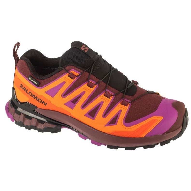 Salomon XA Pro 3D V9 GTX -juoksukengät L47961900 monivärinen