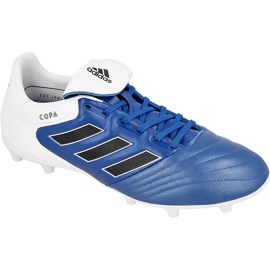Adidas Copa 17.3 Fg M BA9717 jalkapallokengät sininen sininen