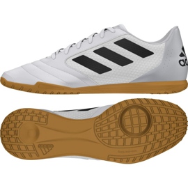 Sisäkengät adidas Ace 17.4 Sala M BY1956
