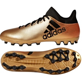 Adidas X 17.3 Ag M CP9233 jalkapallokengät monivärinen kultainen