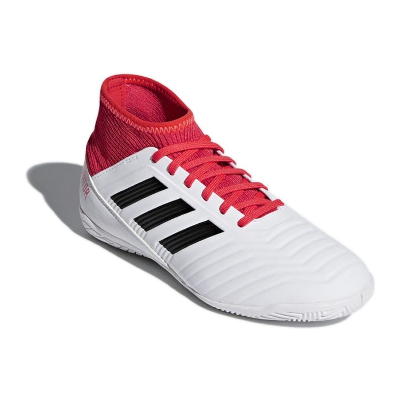 Sisäkengät adidas Predator Tango 18.3 In Jr CP9073 monivärinen valkoinen