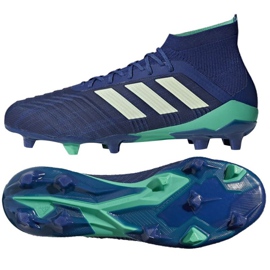 Adidas Predator 18.1 Fg M CM7411 jalkapallokengät sininen sininen