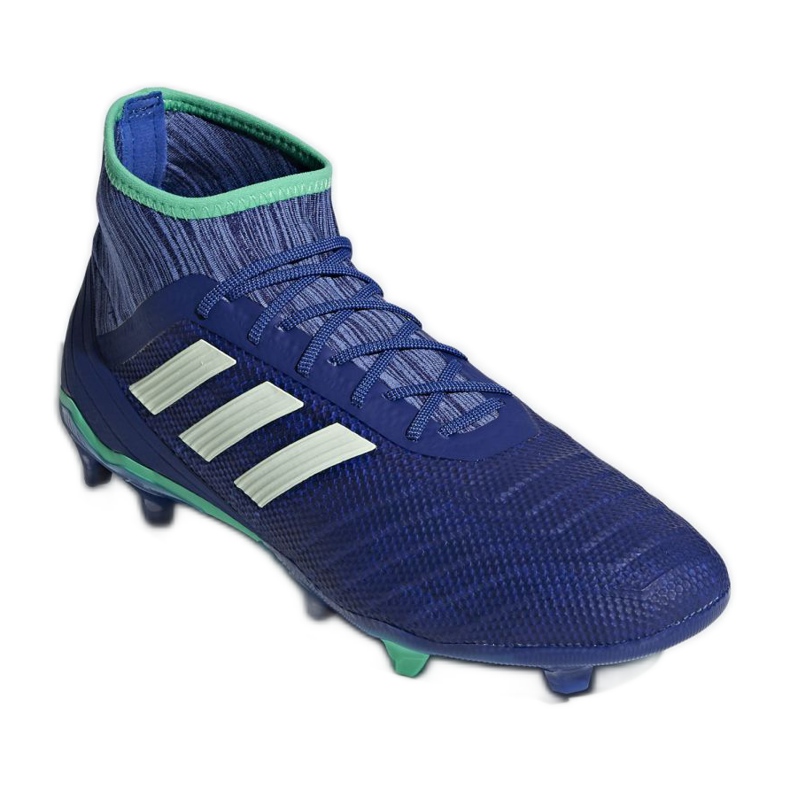 Adidas Predator 18.2 Fg M CP9293 jalkapallokengät monivärinen sininen