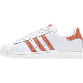Adidas Originals Superstar W CG5462 kengät valkoinen