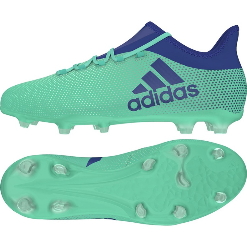 Adidas X 17.2 Fg M CP9189 jalkapallokengät monivärinen vihreä