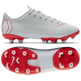 Nike Mercurial Vapor 12 Academy Gs Mg Jr AH7347-060 jalkapallokengät monivärinen hopea