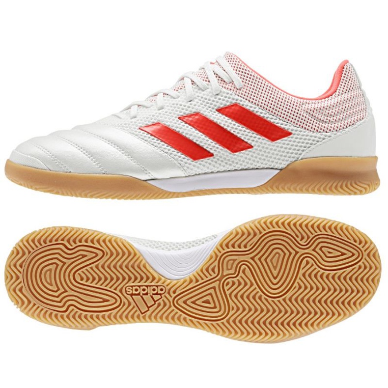 Sisäkengät adidas Copa 19.3 IN Sala M D98065 valkoinen
