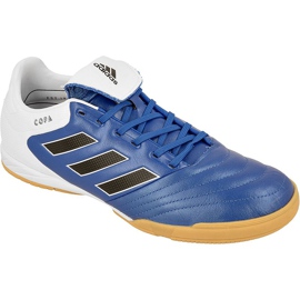 Sisäkengät adidas Copa 17.3 In M BB0853