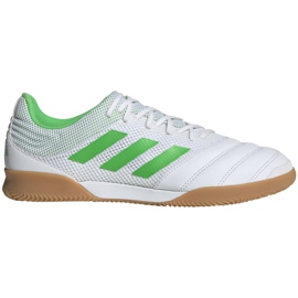 Sisäkengät adidas Copa 19.3 In Sala M BC0559 valkoinen valkoinen