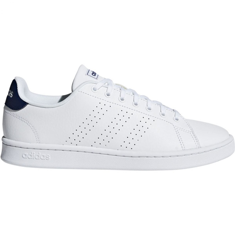 Adidas Advantage M F36423 kengät valkoinen