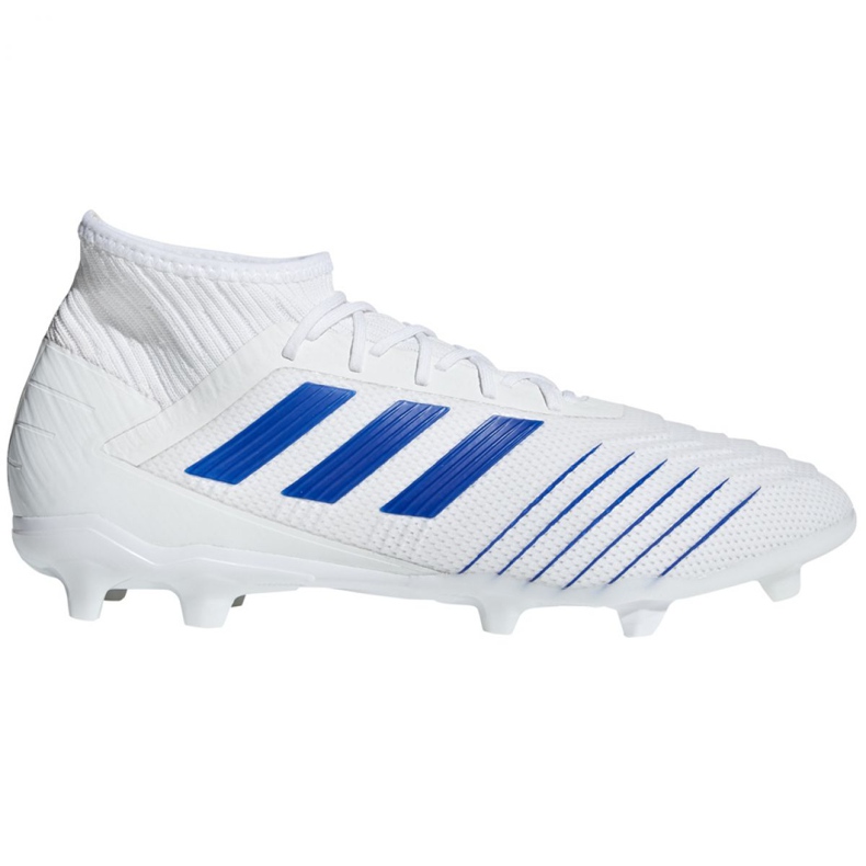 Adidas Predator 19.2 Fg M D97941 jalkapallokengät monivärinen valkoinen