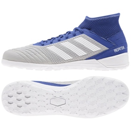 Sisäkengät adidas Predator 19.3 In M D97963 monivärinen harmaa