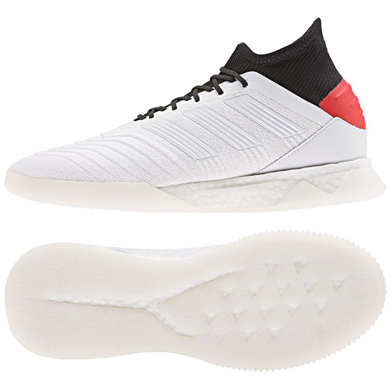 Adidas Predator 19.1 Tr M F35619 jalkapallokengät monivärinen valkoinen