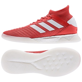 Adidas Predator 19.1 Tr M F35623 jalkapallokengät punainen punainen