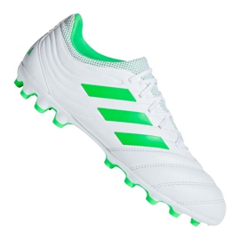 Adidas Copa 19.3 Ag M F35775 jalkapallokengät valkoinen valkoinen