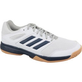 Adidas Performance Speedcourt M EF2623 kengät valkoinen