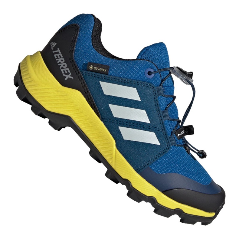 Adidas Terrex Gtx Jr BC0599 kengät sininen