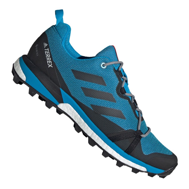 Adidas Terrex Skychaser Lt Gtx M F36107 kengät musta sininen