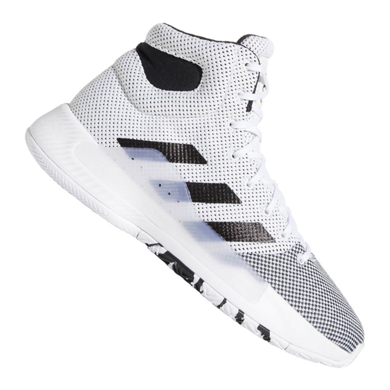 Adidas Pro Bounce Madness 2019 M BB9235 kengät valkoinen valkoinen