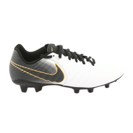 Nike Tiempo Legend 7 Academy Fg M AO2596-100 jalkapallokengät valkoinen