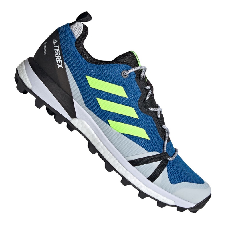 Adidas Terrex Skychaser Lt Gtx M EH2427 kengät sininen monivärinen