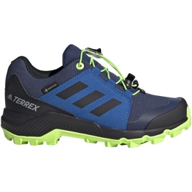 Adidas Terrex Gtx K Jr EF2231 kengät tummansininen