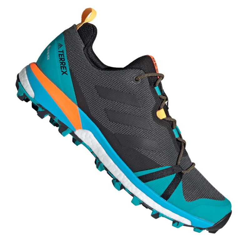 Adidas Terrex Skychaser Lt Gtx M FX0148 kengät monivärinen sininen