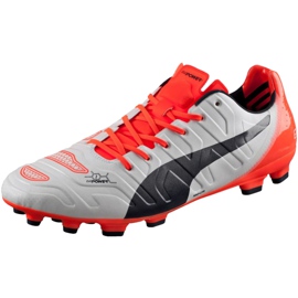 Puma Evo Power 1.2 Ag 103213 05 jalkapallokengät harmaa