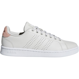 Adidas Advantage naisten kengät beige F36480