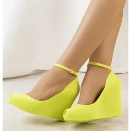 Vihreä meliski Janin kiilassa 2