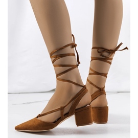 Ruskeat nauhapumput Victoris-postissa 1