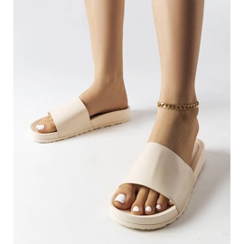 Sabourin beige kumiliukumäki 1