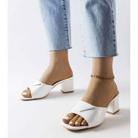 Valkoiseksi lakatut läpät Branch-tolppassa valkoinen 1