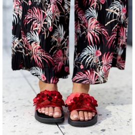 Caggion punaiset liukumäet, joissa koristeellinen päällinen punainen 2